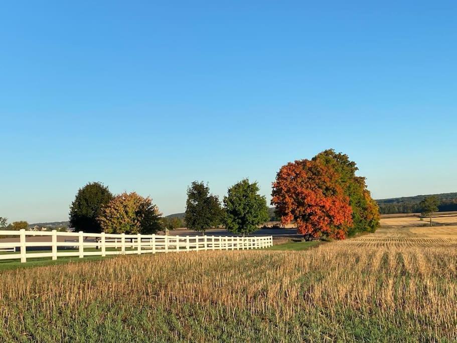 Farmhouse Guest Suite, Pool, Hot Tub, Horses Midhurst Екстериор снимка